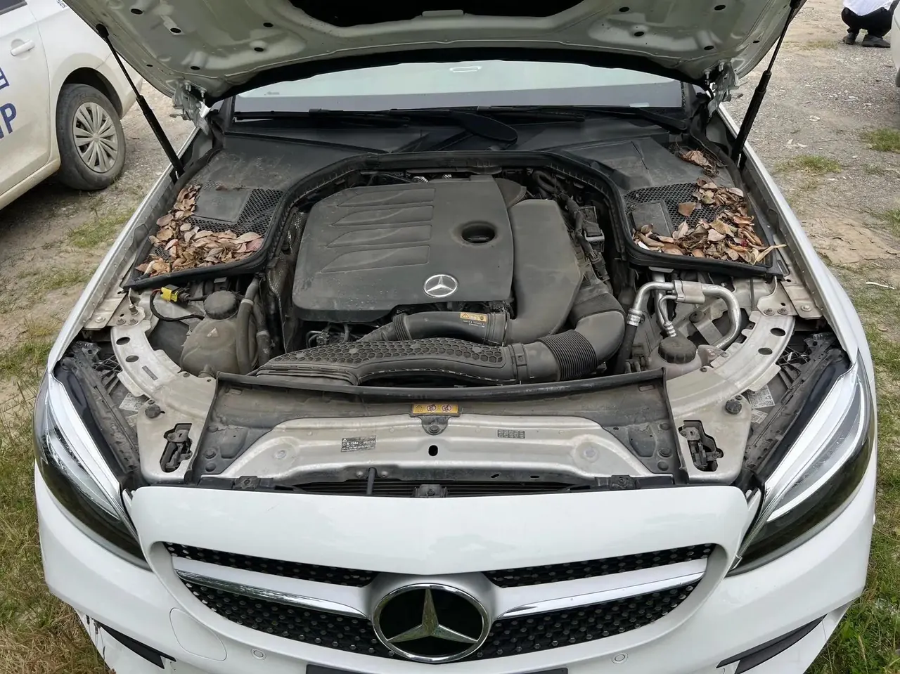 Mercedes Benz Class C 2020 C 260 L Sports Edition 8