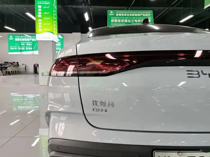 2025 Qin L DM-i Intelligent Driving Version 120KM Excellence Model 17