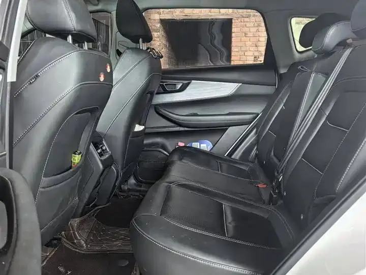 Ruihu 7 PLUS 2021 1.5T CVT Honorable Model 6