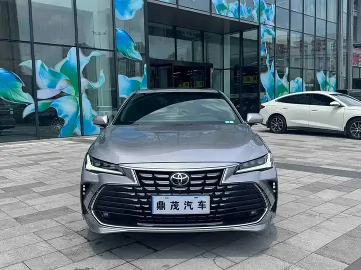 Asian Dragon 2023 2.0L XLE Premium Edition 2