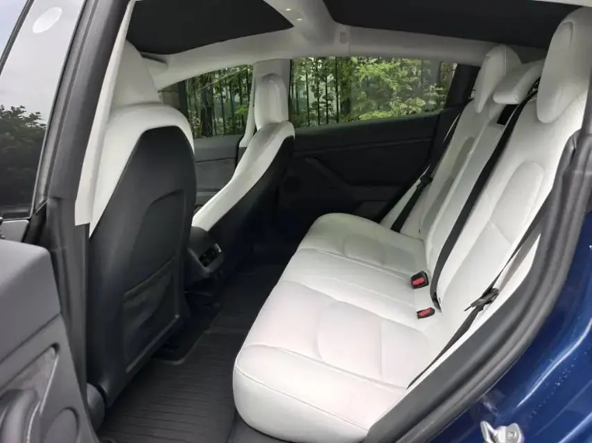 2021 Model 3 Standard Range Rear-Wheel Drive Upgrade Version 6