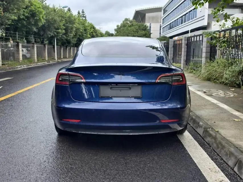2021 Model 3 Standard Range Rear-Wheel Drive Upgrade Version 8