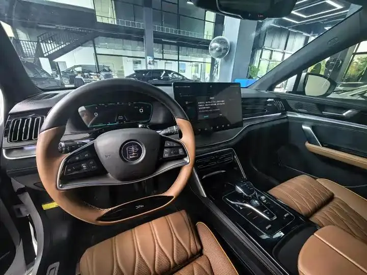Tang New Energy 2021 DM-i 112KM Honorable Model 10