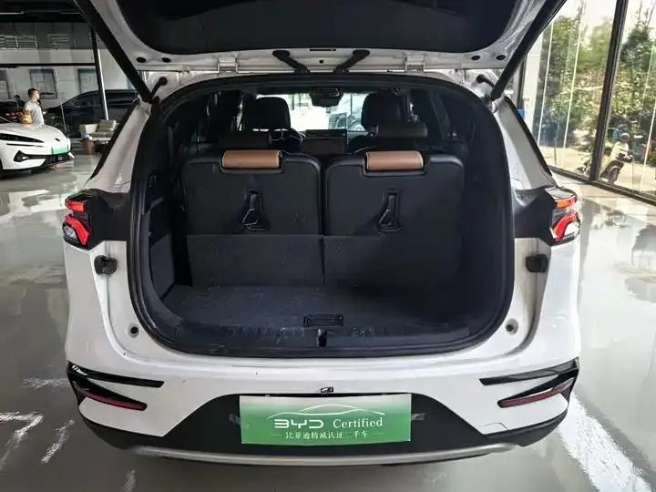 Tang New Energy 2021 DM-i 112KM Honorable Model 12
