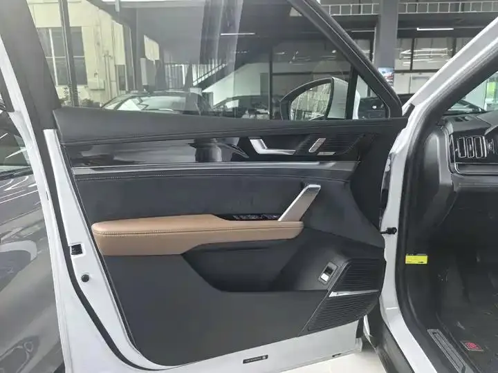 Tang New Energy 2021 DM-i 112KM Honorable Model 16