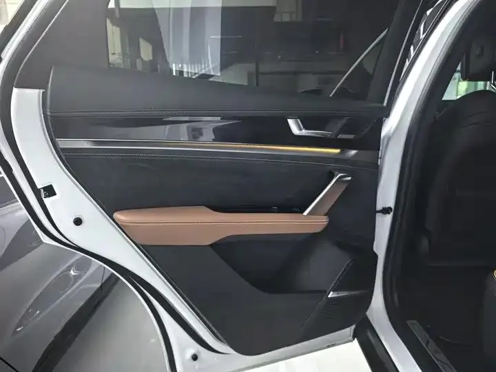 Tang New Energy 2021 DM-i 112KM Honorable Model 18