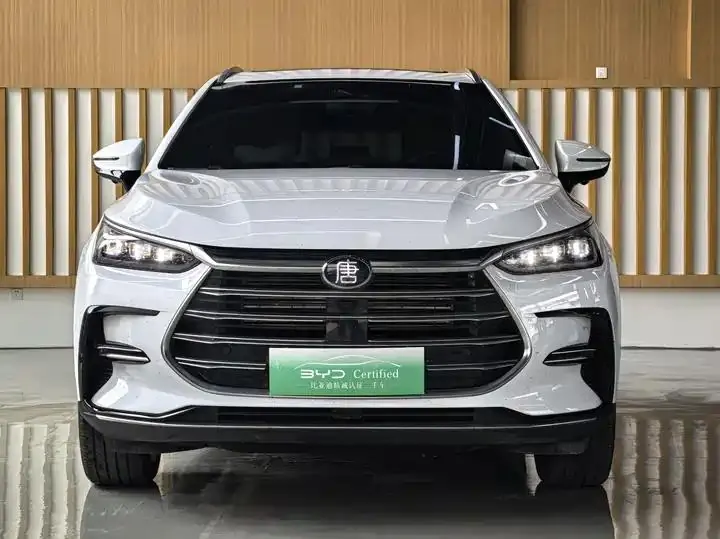 Tang New Energy 2021 DM-i 112KM Honorable Model 2