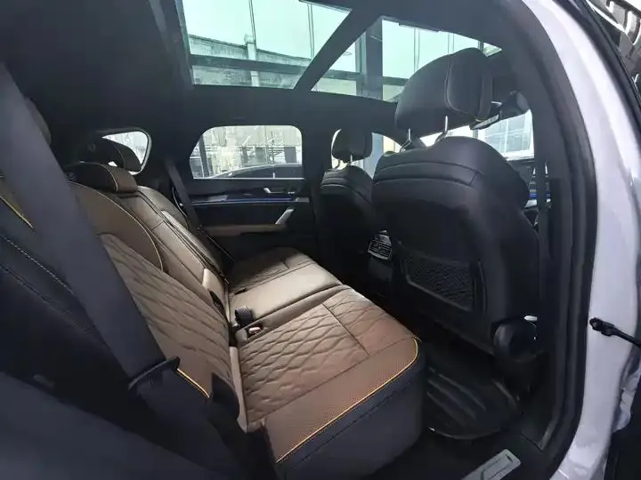 Tang New Energy 2021 DM-i 112KM Honorable Model 21