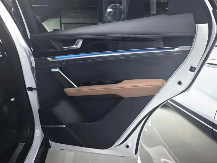 Tang New Energy 2021 DM-i 112KM Honorable Model 22