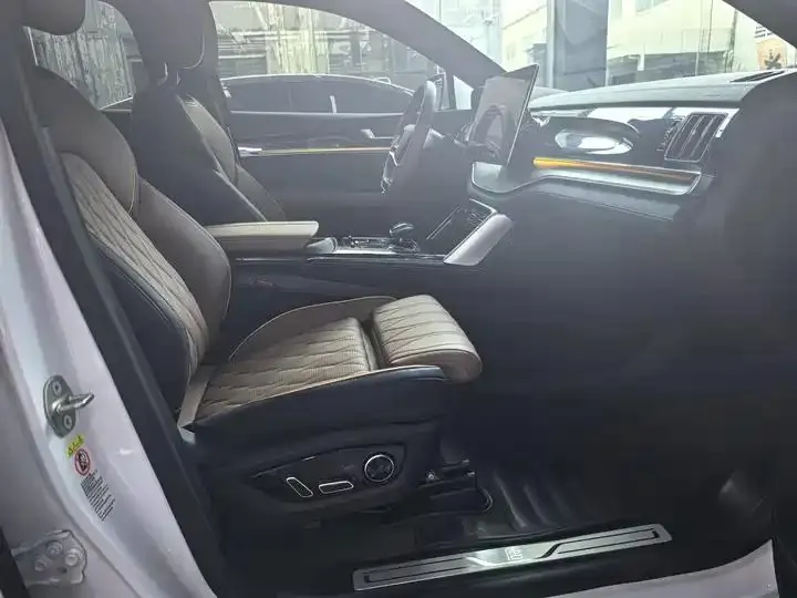 Tang New Energy 2021 DM-i 112KM Honorable Model 23