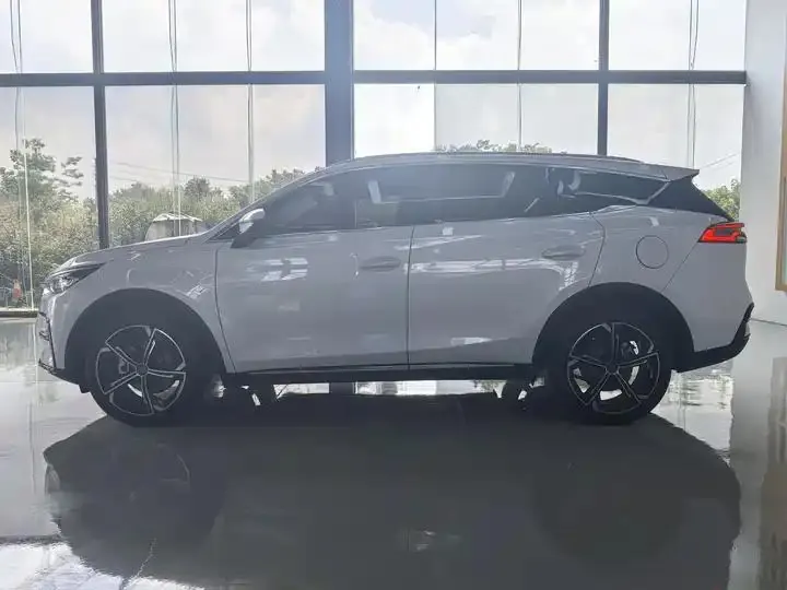 Tang New Energy 2021 DM-i 112KM Honorable Model 5