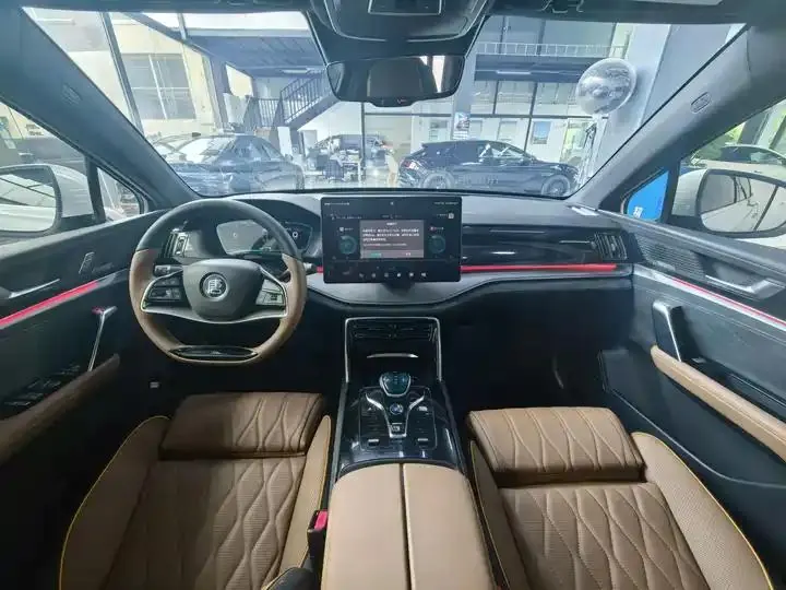 Tang New Energy 2021 DM-i 112KM Honorable Model 8