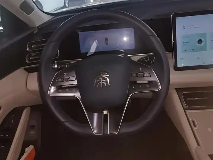 Qin L 2024 DM-i 120KM Exceed 15