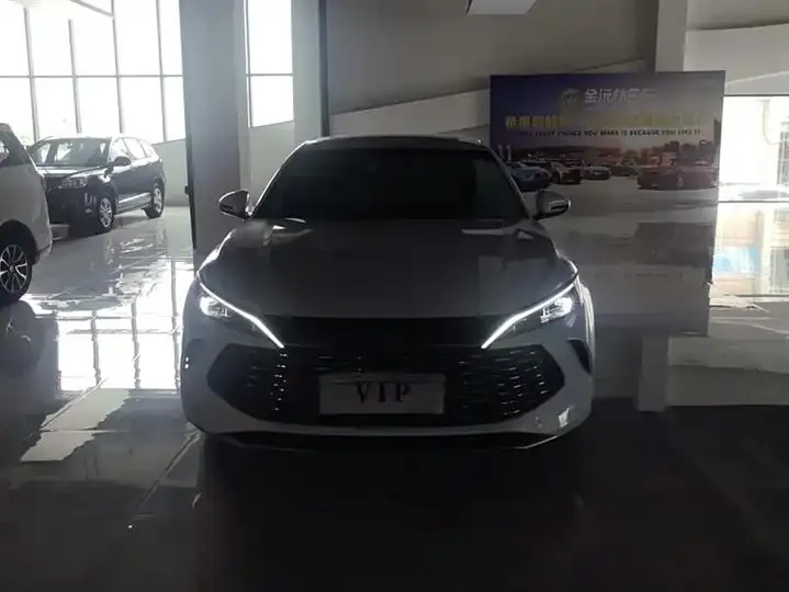 Qin L 2024 DM-i 120KM Exceed 2