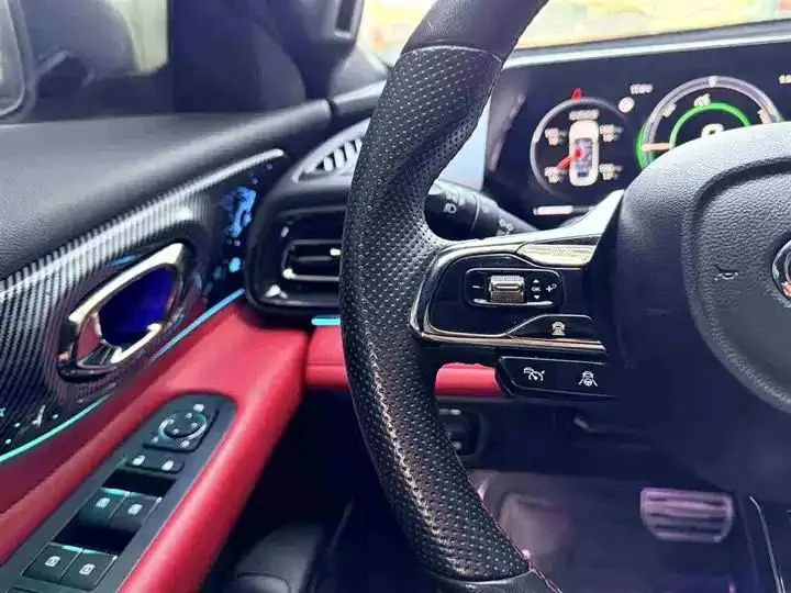 Shadow Leopard 2023 Shadow Leopard H Intelligent Hybrid Edition 14