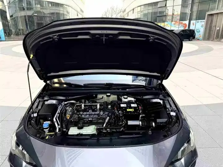Shadow Leopard 2023 Shadow Leopard H Intelligent Hybrid Edition 26