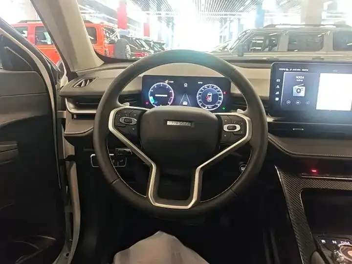 Haval H6 2024 1.5T Two-Drive Classic Edition 11