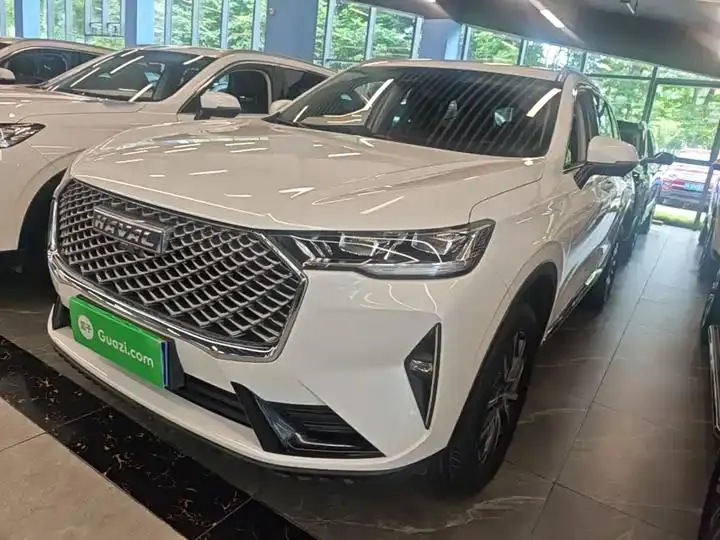 Haval H6 2024 1.5T Two-Drive Classic Edition 2