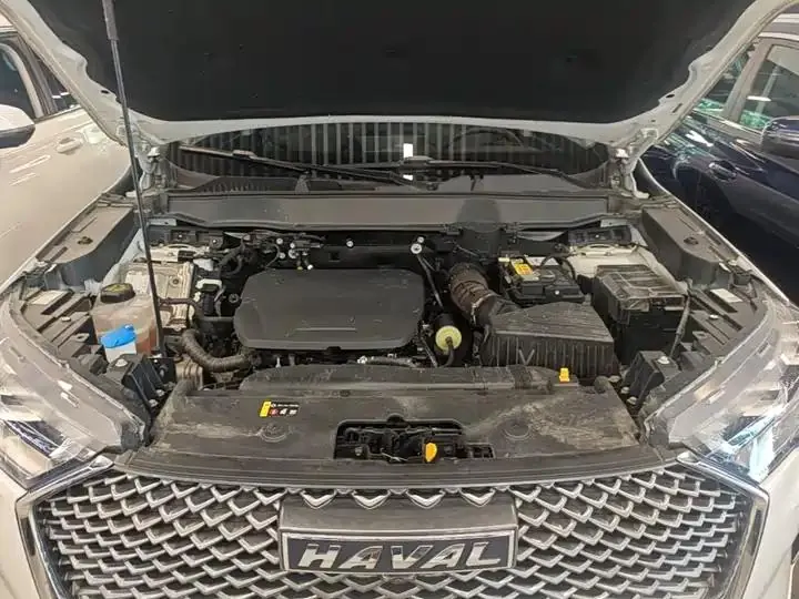 Haval H6 2024 1.5T Two-Drive Classic Edition 20