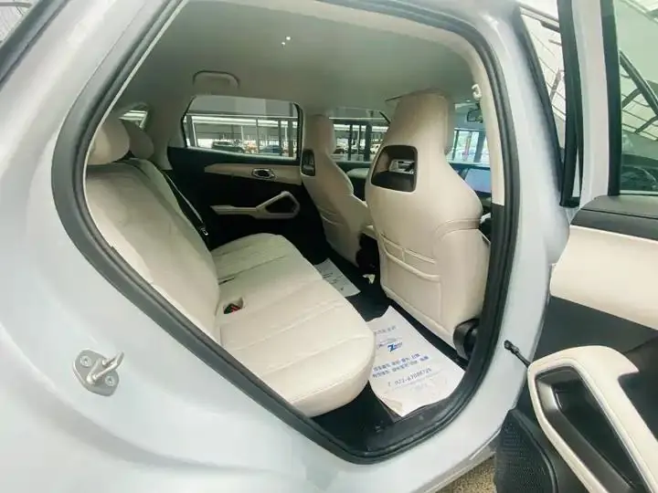 Original UP 2024 Model 301KM Leading Edition 6