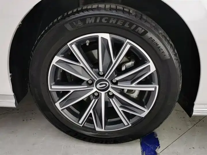 GAC Trumpchi M8 2024 Master Series 400T Supreme Edition 6