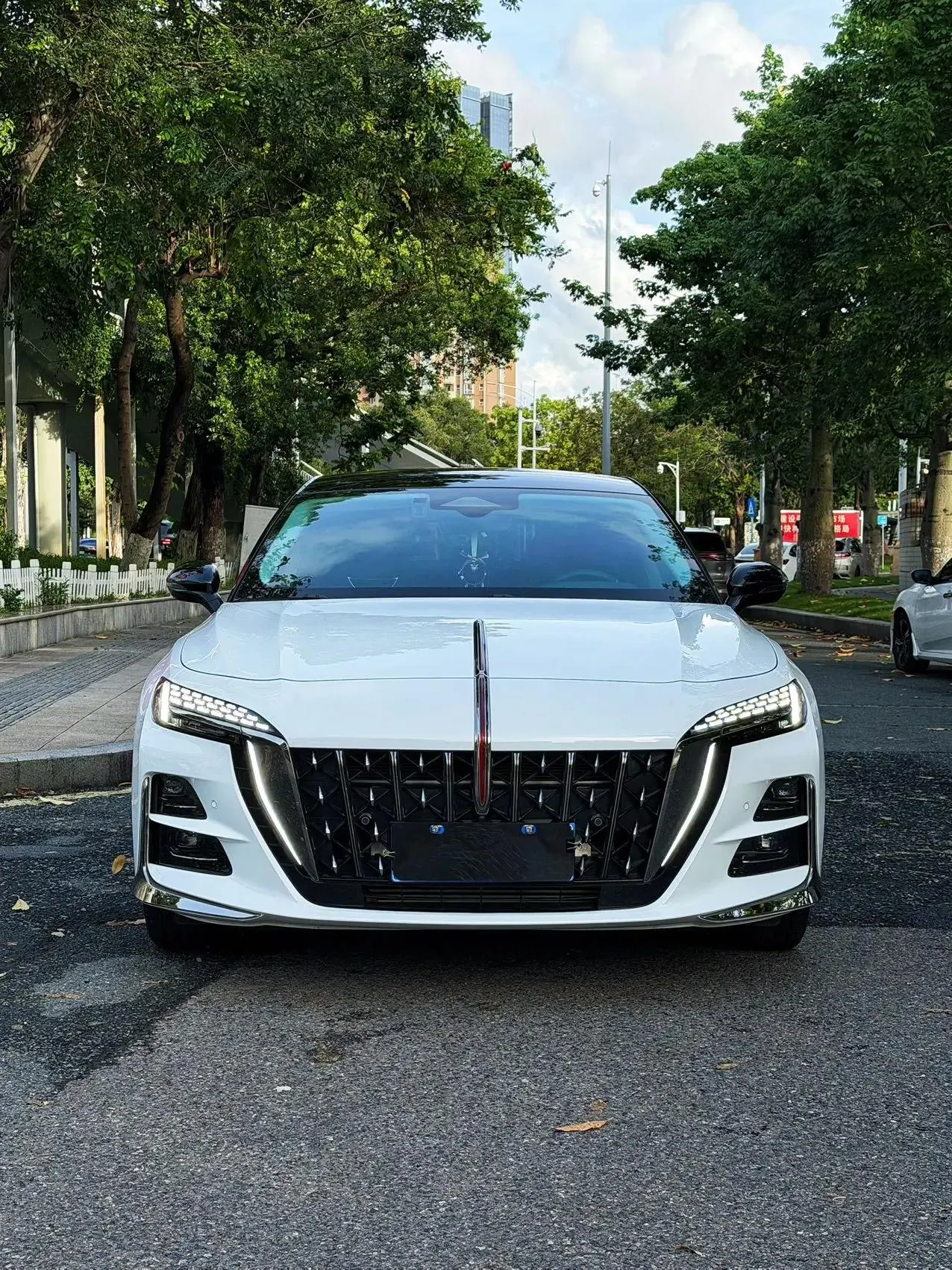 HongQi H6 2024 2.0T to the United States Edition 2