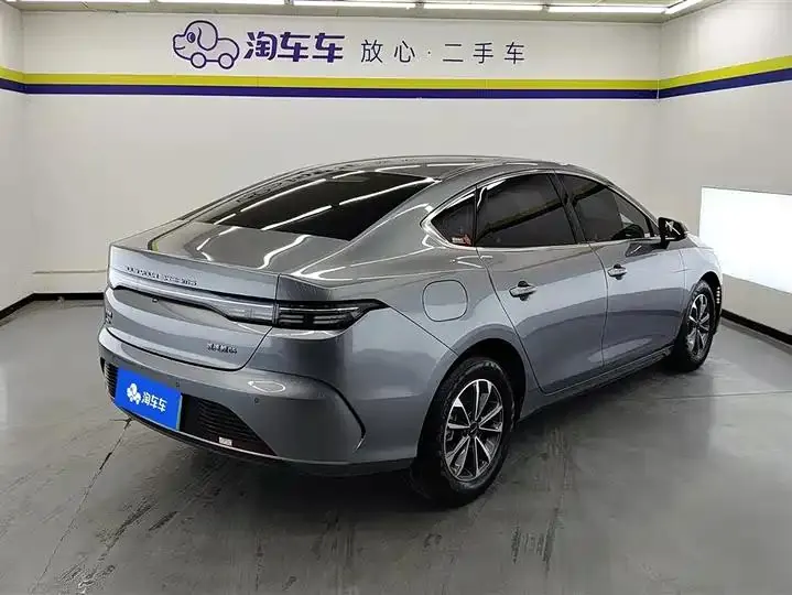 Destroyer 05 2024 Glory Edition DM-i 55KM Luxury Model 3