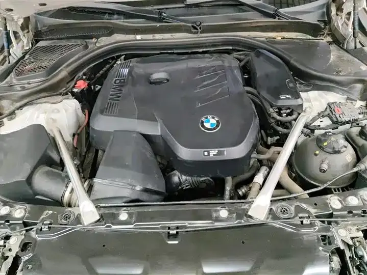 BMW 5 Series 2024 530Li Leading Luxury Suit 10