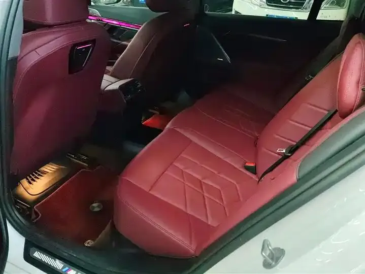 BMW 5 Series 2024 530Li Leading Luxury Suit 11