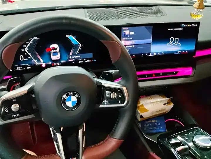 BMW 5 Series 2024 530Li Leading Luxury Suit 12