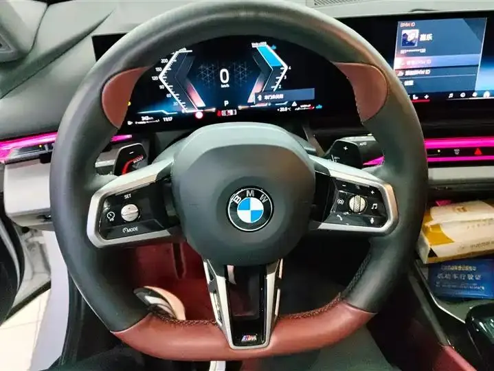 BMW 5 Series 2024 530Li Leading Luxury Suit 15