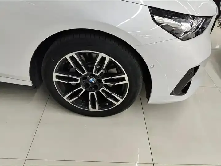 BMW 5 Series 2024 530Li Leading Luxury Suit 6