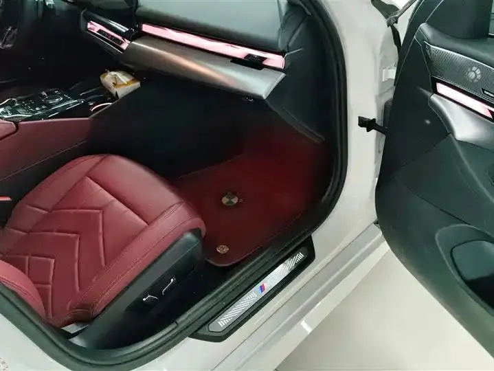 BMW 5 Series 2024 530Li Leading Luxury Suit 8