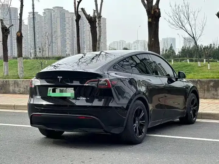 2022 Model Y Refreshed Rear-Wheel-Drive Version 11