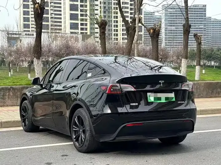 2022 Model Y Refreshed Rear-Wheel-Drive Version 9