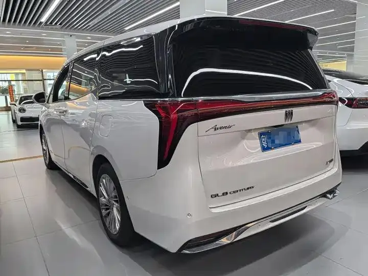 Century 2023 2.0T Six-seat World Edition 10