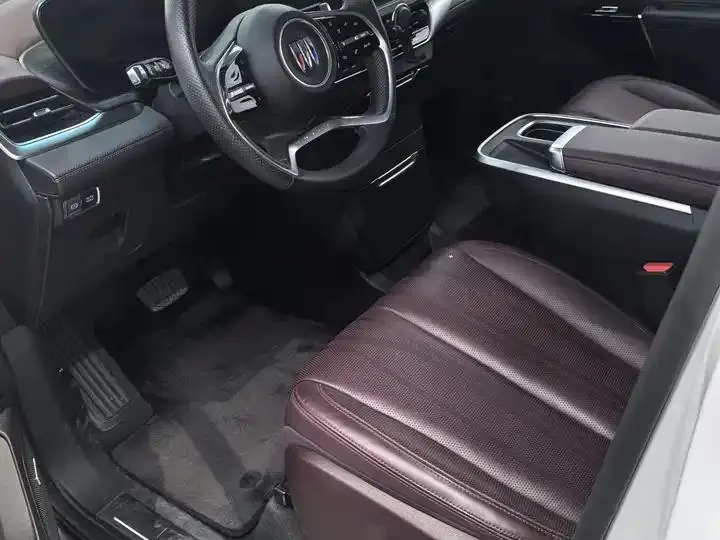 Century 2023 2.0T Six-seat World Edition 5