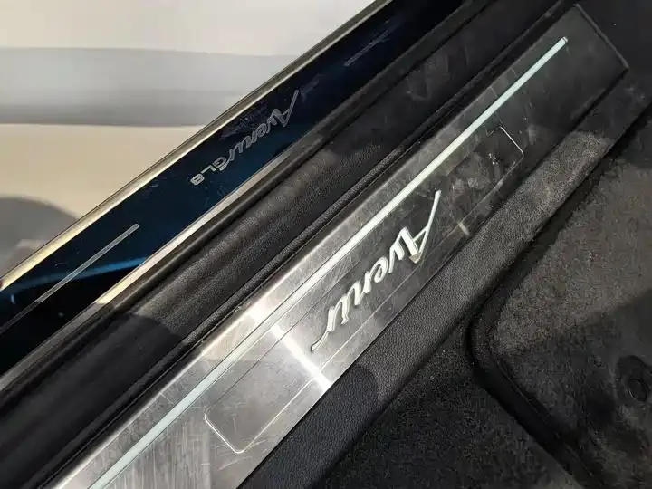 Century 2023 2.0T Six-seat World Edition 8