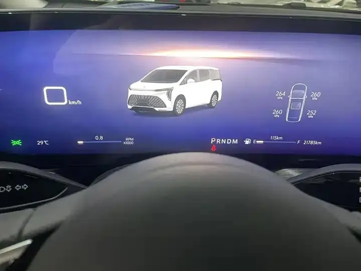 Century 2023 2.0T Six-seat World Edition 9