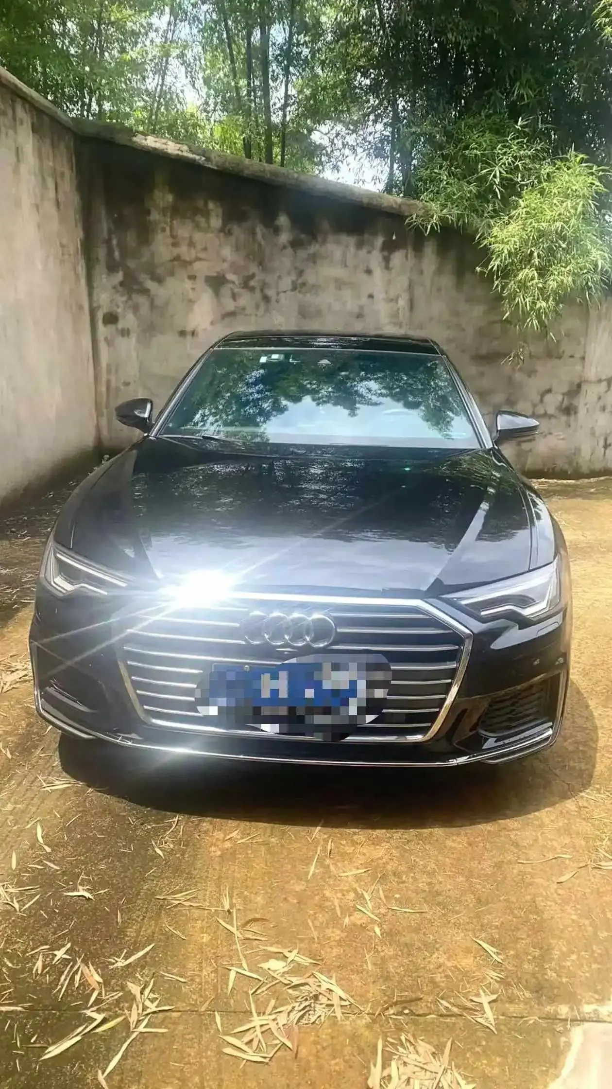 Audi A6L 2019 45 TFSI Selected Elegant Type 2
