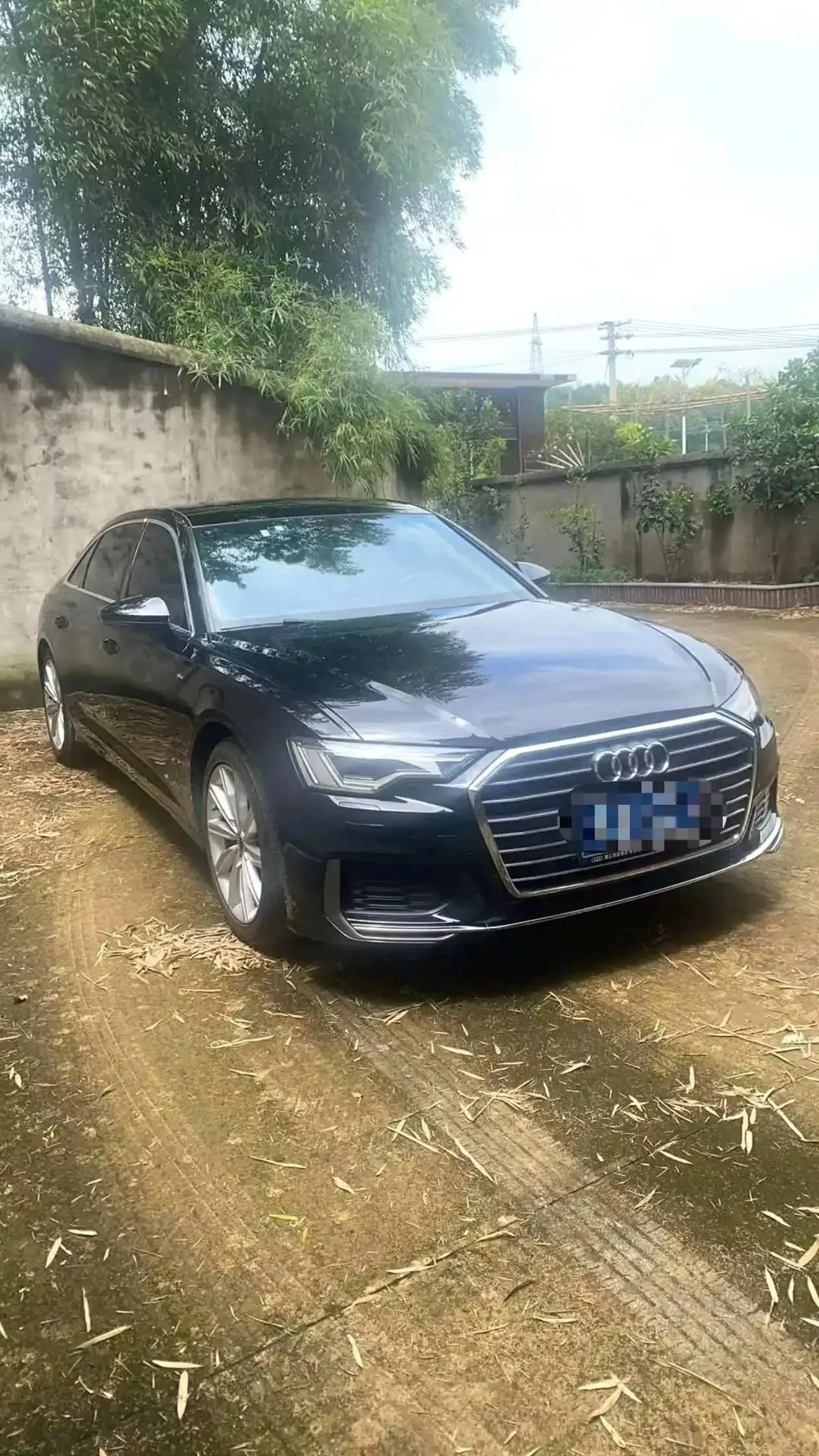 Audi A6L 2019 45 TFSI Selected Elegant Type 3