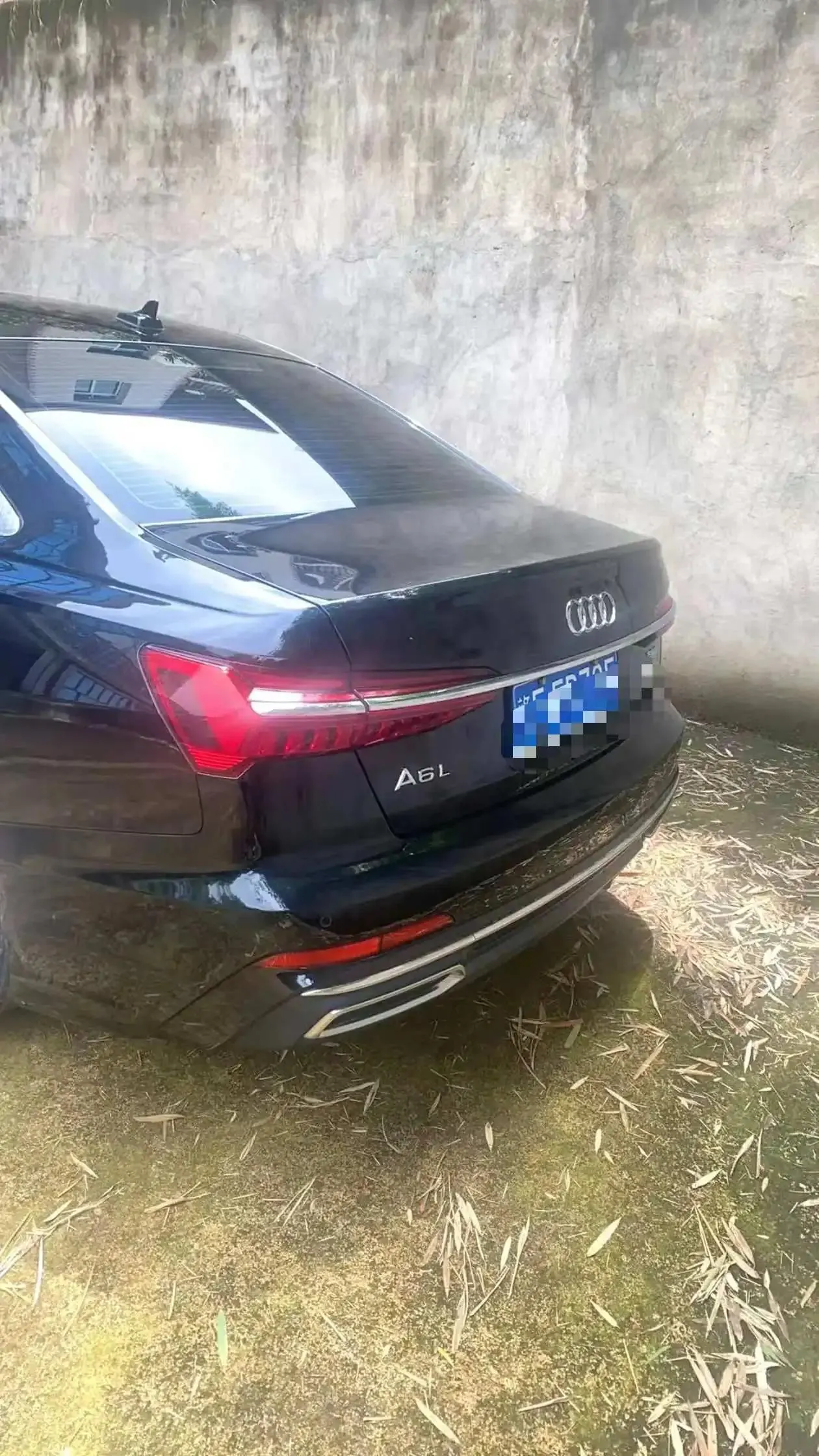 Audi A6L 2019 45 TFSI Selected Elegant Type 9