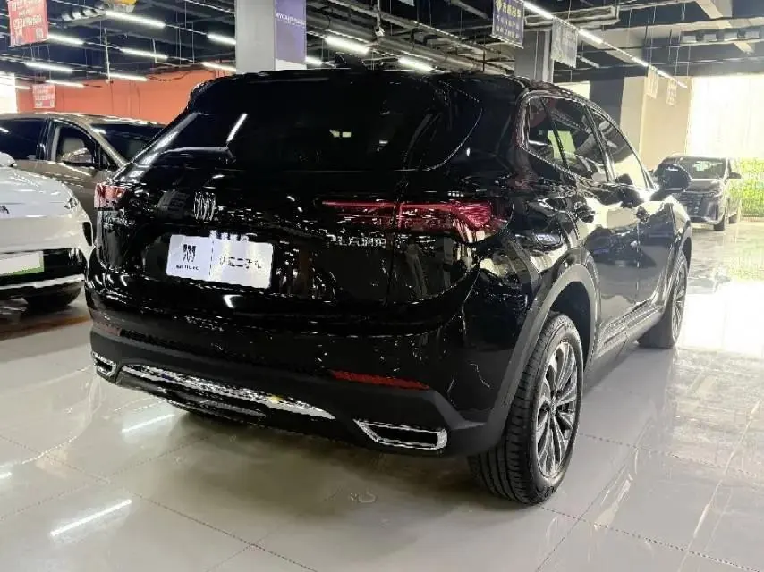 Oncovey S 2025 25T Platinum Edition 2