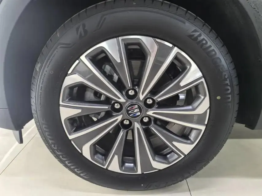 Oncovey S 2025 25T Platinum Edition 8