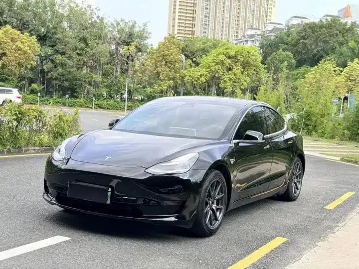 2020 Model 3 Standard Range Rear-Wheel Drive Upgrade Version - View 1