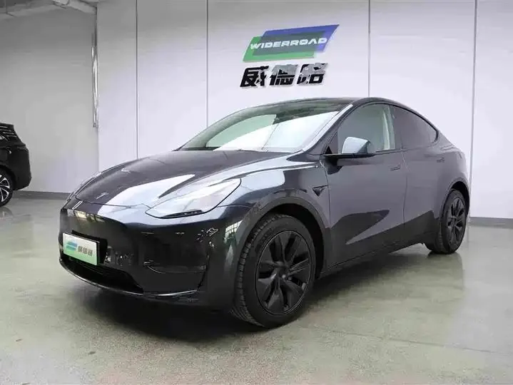 Model Y 2024 long-range all-wheel drive - View 1
