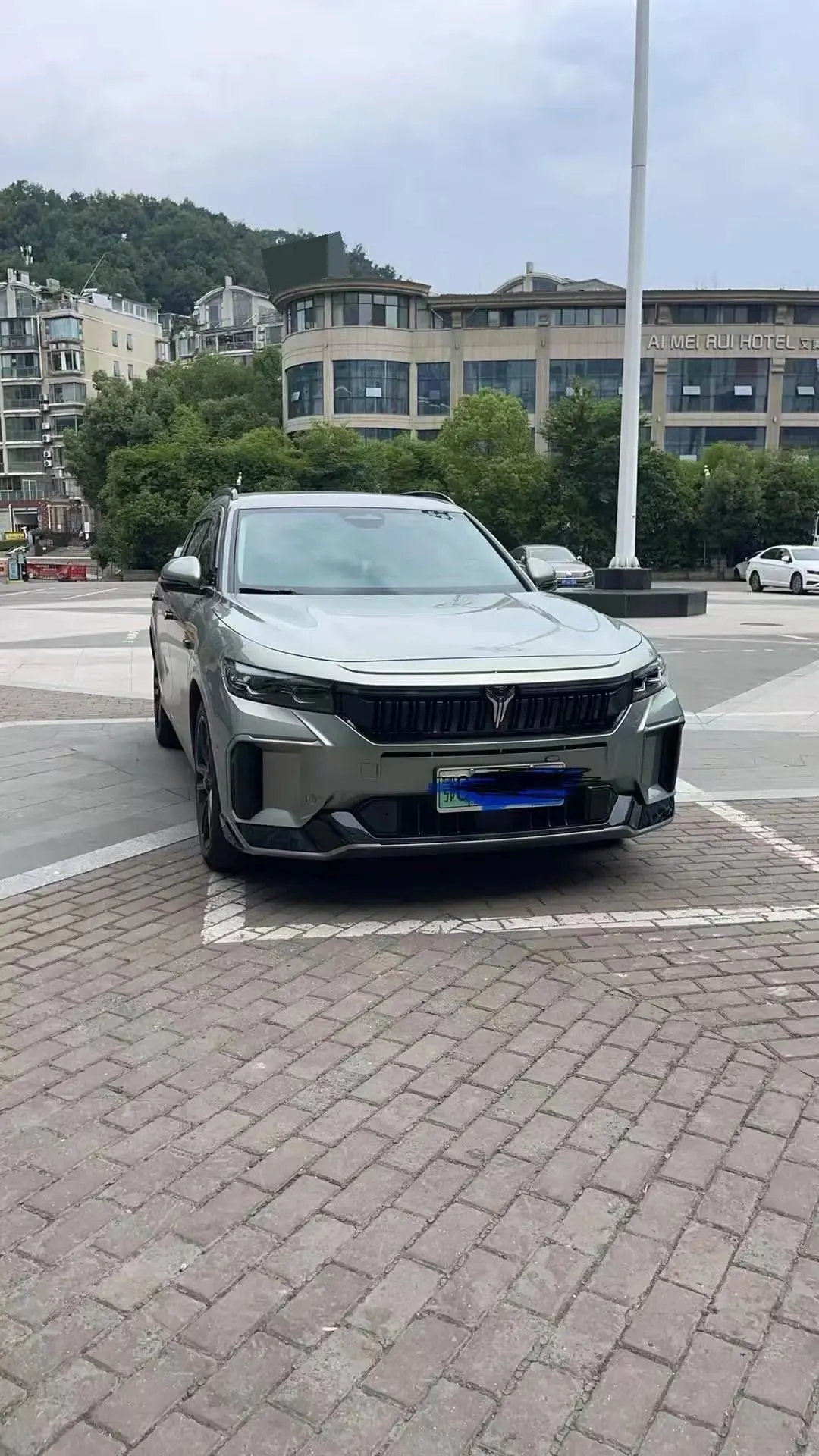 Voyah FREE 2025 318 259km 4WD Discovery Edition 2