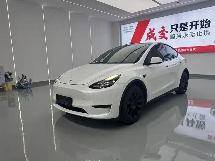 Model Y 2022 rear-wheel drive version - View 1