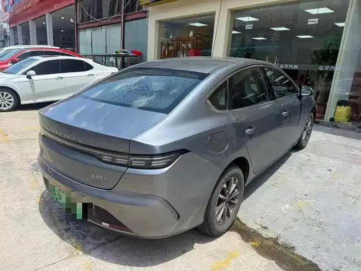 Destroyer 05 2024 Glory Edition DM-i 55KM Luxury Model 6