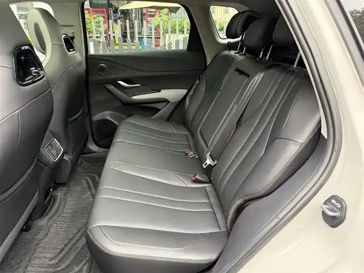 Sea Lion 05 DM-i 2025 DM-i 115KM Honor Model 10